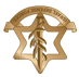 IOF Logo